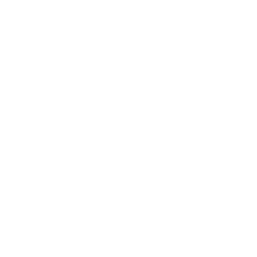 Corporate Icon White Home