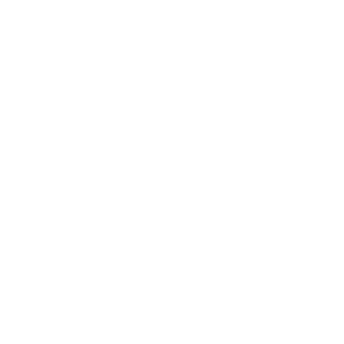 Fundraiser Icon White Home